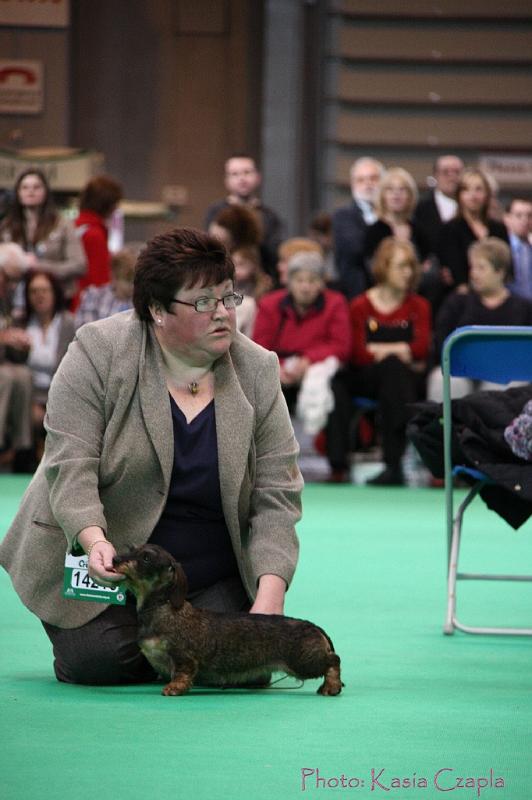 Crufts2011_2 1108.jpg